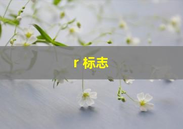 r 标志